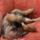 29122012_006.png