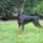 29122012_002.png