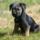29122012_021.png