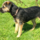 29122012_037.png