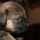 29122012_032.png