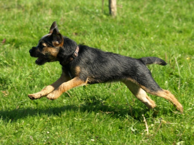 29122012_045.png