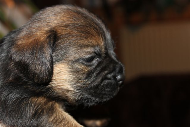 29122012_032.png