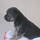 20131205001.jpg