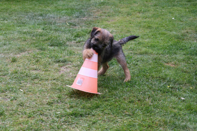 29122012_003.png