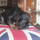 20131015014.jpg