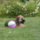 29122012_004.png