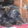 20131015013.jpg