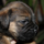 29122012_035.png