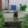 29122012_001.png