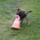 29122012_003.png