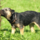 29122012_039.png