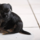 29122012_029.png