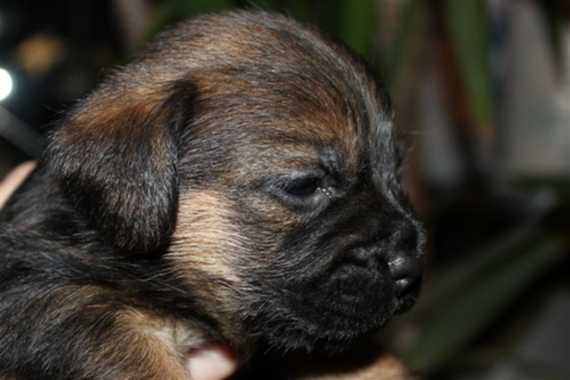 29122012_035.png