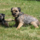 29122012_023.png