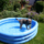 29122012_007.png