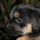 29122012_030.png